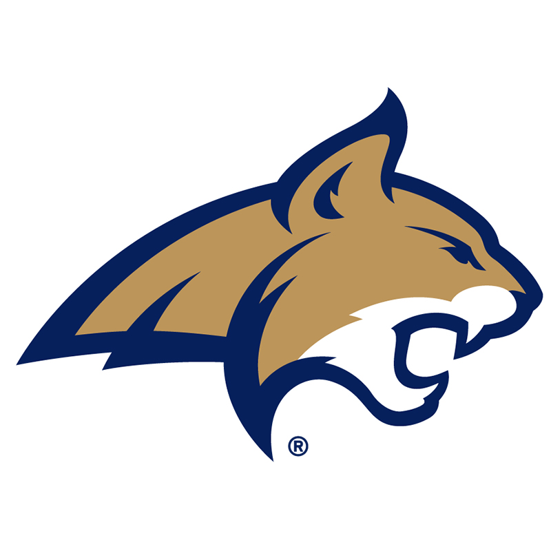 Montana State Bobcats iron ons